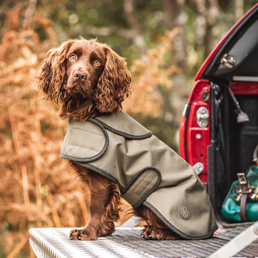 Le Chameau Dog Coats - Main Image